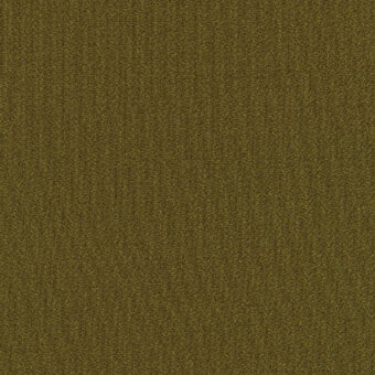 F_13033_C0971_W24